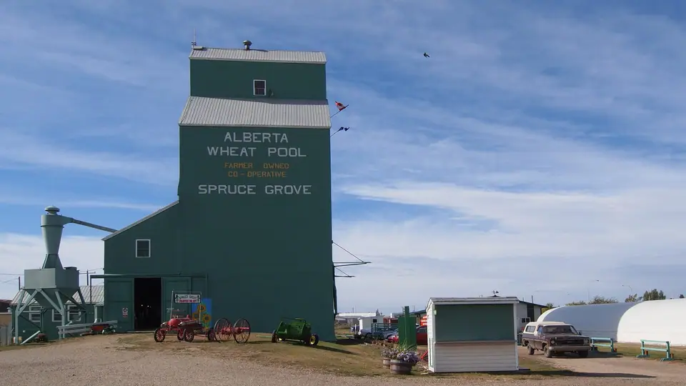 The historic Alberta Wheat Pool grain elevator in Spruce Grove