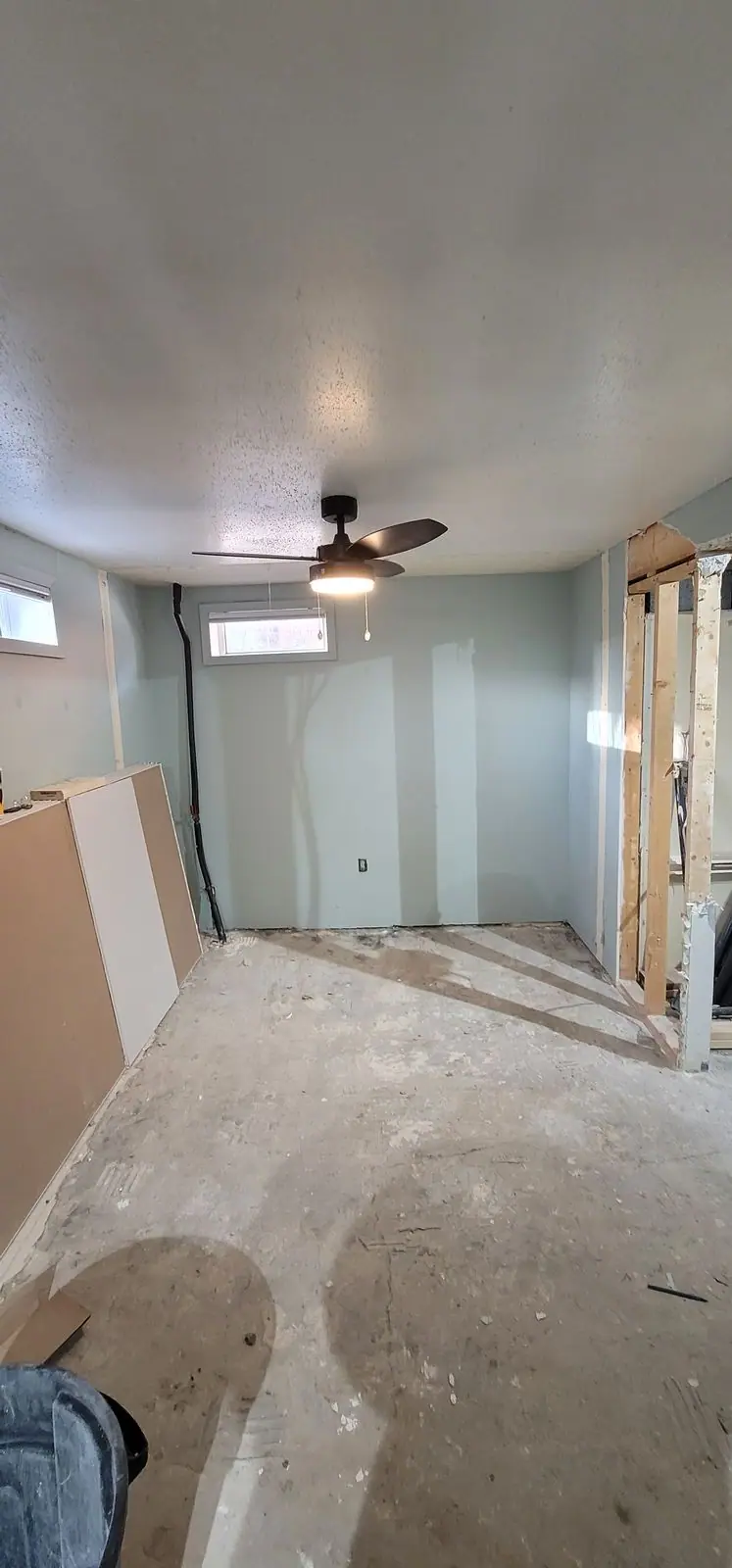 Basement suite: demolition, plumbing and drywall, photo 12 of 29 (demolition)